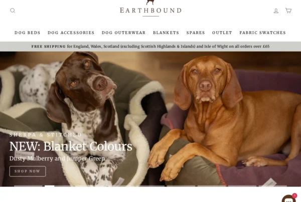 web designer uk mihai dobre