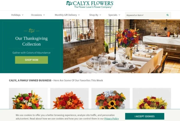 web designer uk work 5