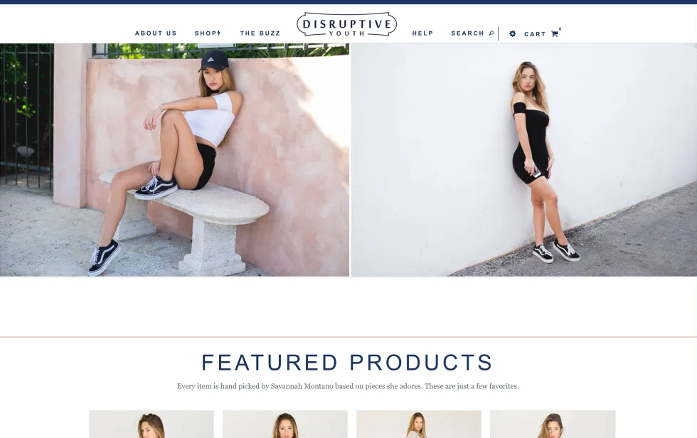 Disruptive Youth ecommerce UX case study screenshot